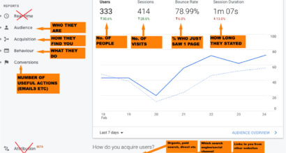 The first screen you see in Google Analytics
